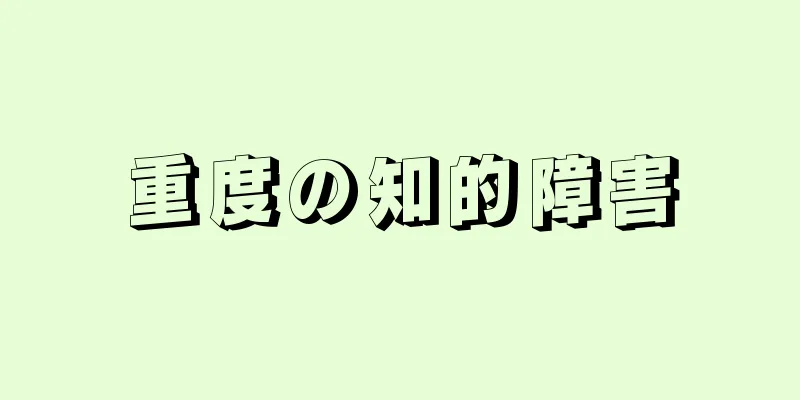 重度の知的障害