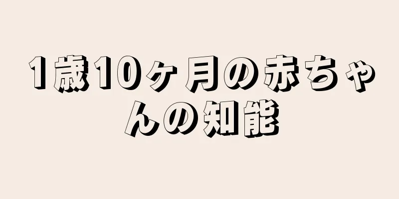 1歳10ヶ月の赤ちゃんの知能