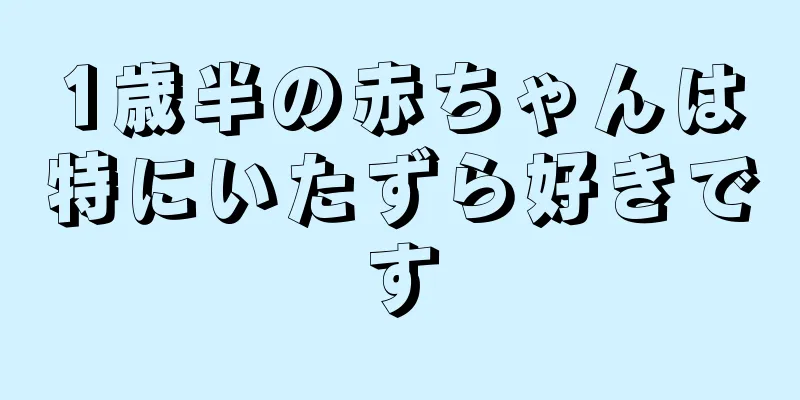 1歳半の赤ちゃんは特にいたずら好きです