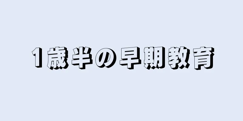 1歳半の早期教育
