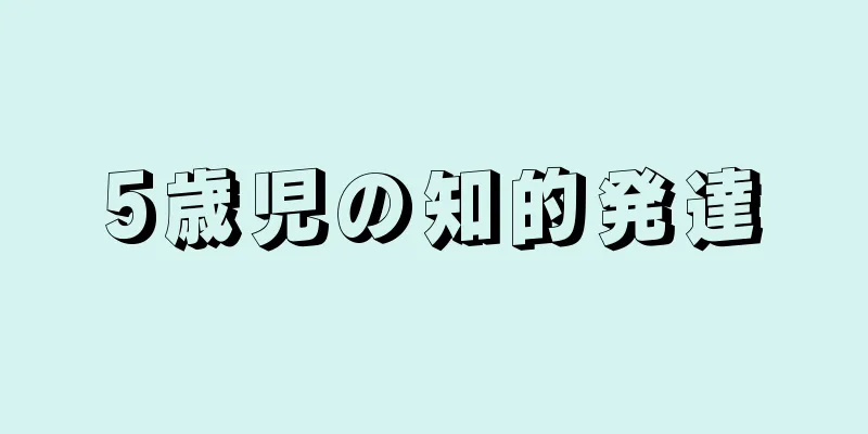 5歳児の知的発達
