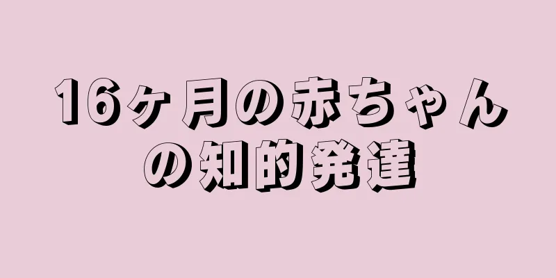 16ヶ月の赤ちゃんの知的発達