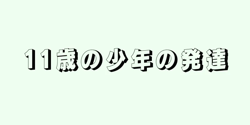 11歳の少年の発達