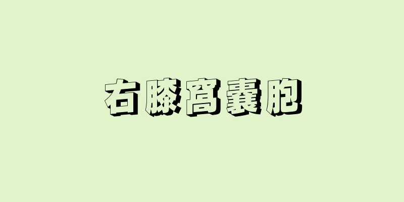 右膝窩嚢胞
