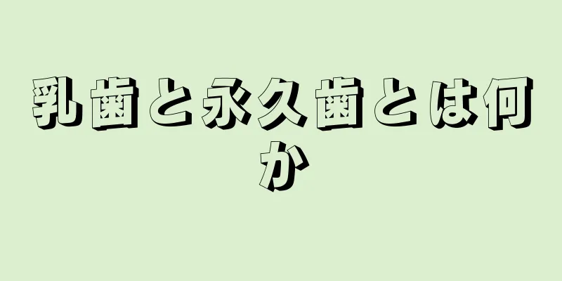 乳歯と永久歯とは何か