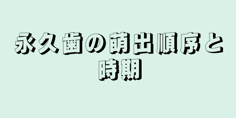 永久歯の萌出順序と時期