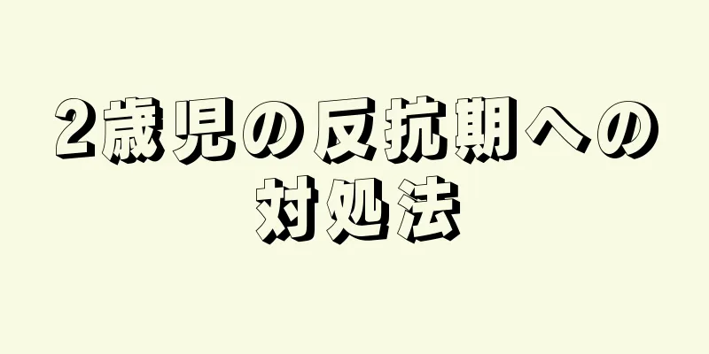 2歳児の反抗期への対処法