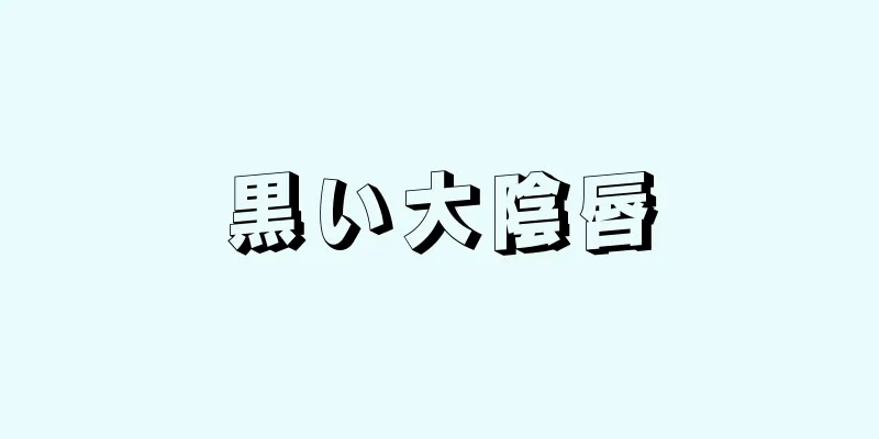 黒い大陰唇
