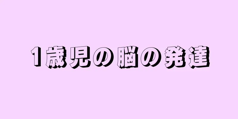 1歳児の脳の発達