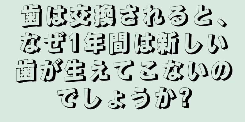 歯は交換されると、なぜ1年間は新しい歯が生えてこないのでしょうか?