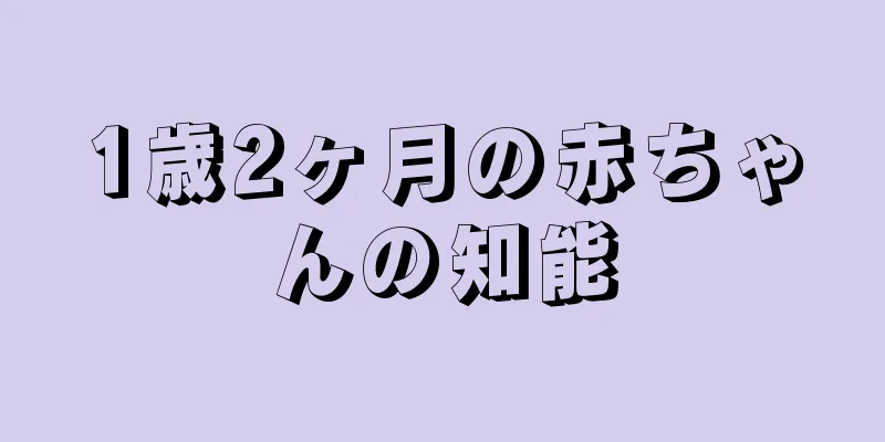 1歳2ヶ月の赤ちゃんの知能