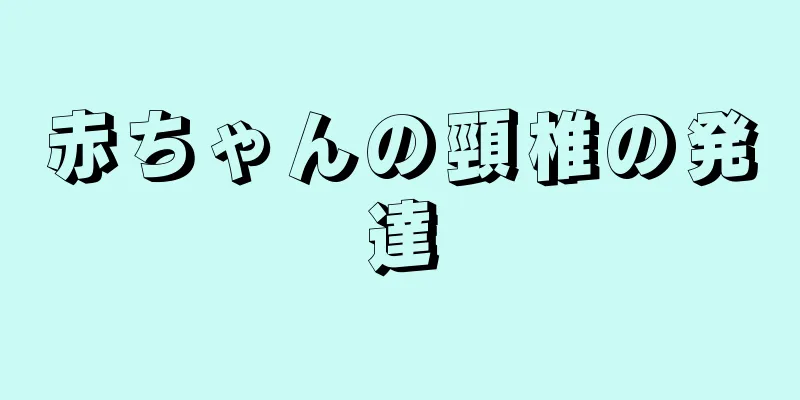 赤ちゃんの頸椎の発達