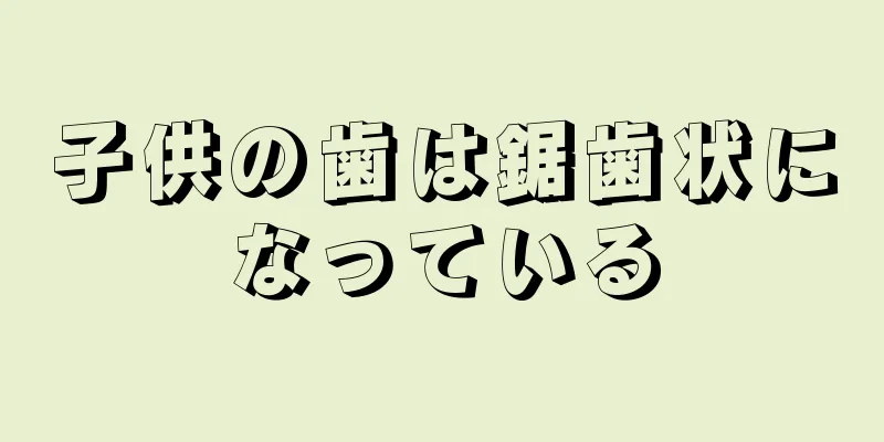 子供の歯は鋸歯状になっている