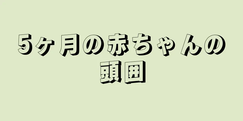 5ヶ月の赤ちゃんの頭囲