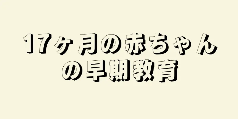 17ヶ月の赤ちゃんの早期教育