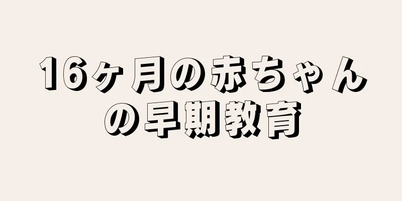 16ヶ月の赤ちゃんの早期教育