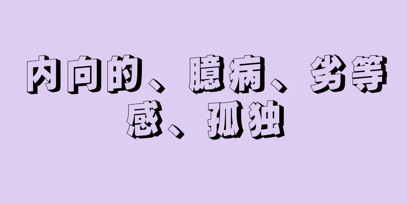 内向的、臆病、劣等感、孤独