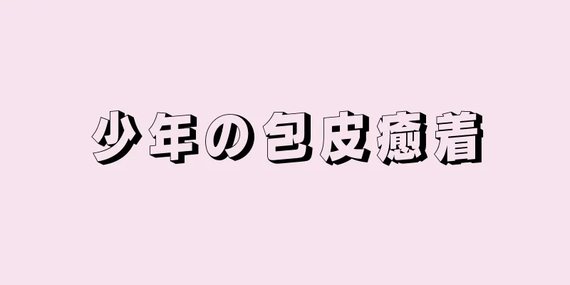 少年の包皮癒着