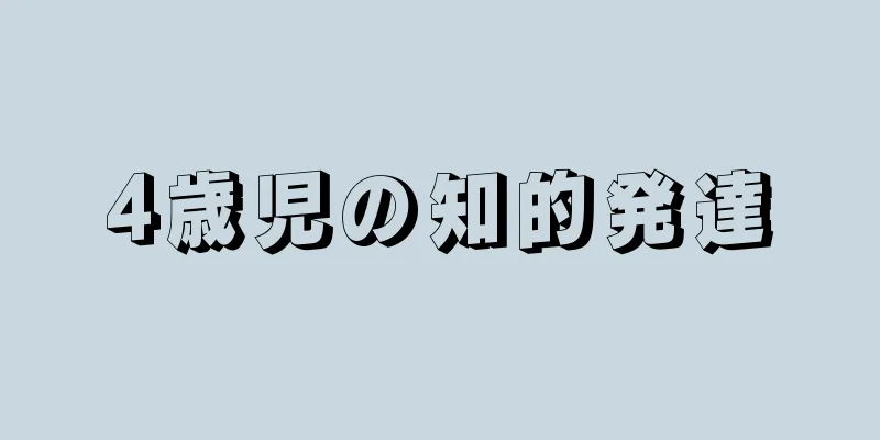 4歳児の知的発達