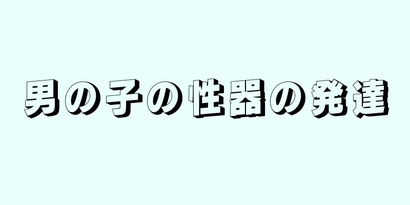 男の子の性器の発達