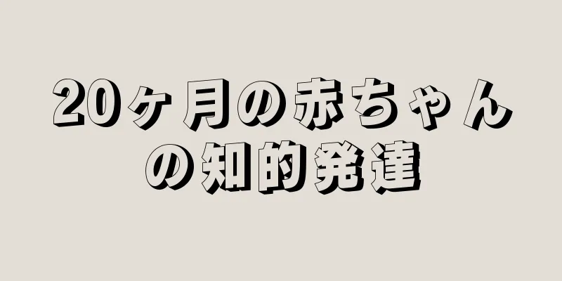 20ヶ月の赤ちゃんの知的発達