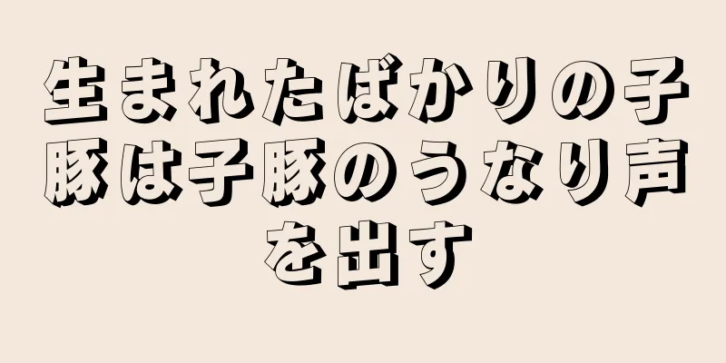 生まれたばかりの子豚は子豚のうなり声を出す