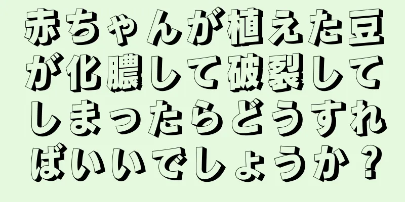 赤ちゃんが植えた豆が化膿して破裂してしまったらどうすればいいでしょうか？