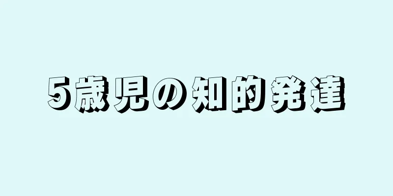 5歳児の知的発達