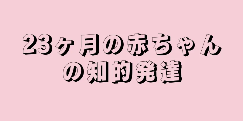 23ヶ月の赤ちゃんの知的発達