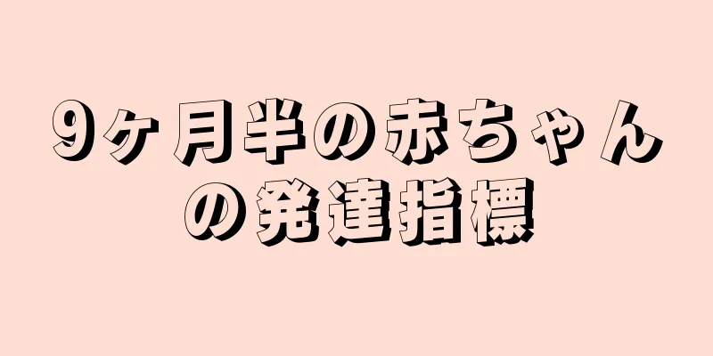 9ヶ月半の赤ちゃんの発達指標