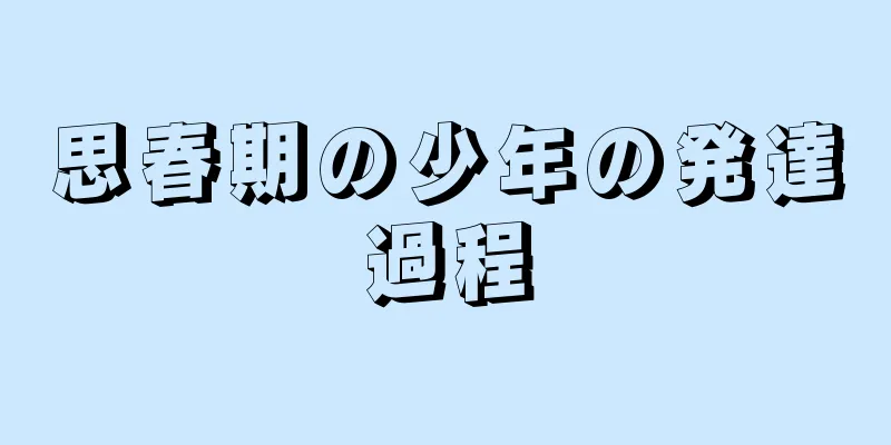 思春期の少年の発達過程