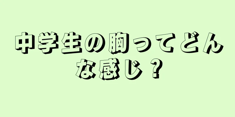 中学生の胸ってどんな感じ？