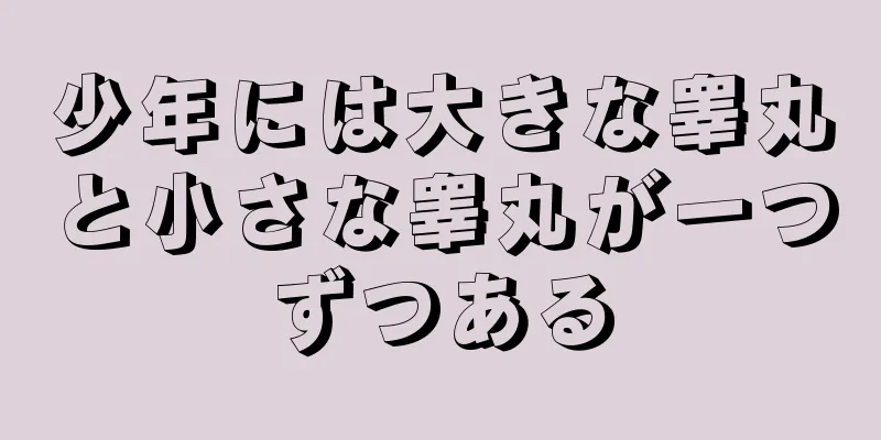 少年には大きな睾丸と小さな睾丸が一つずつある