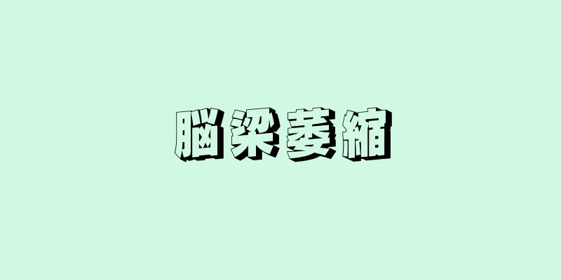 脳梁萎縮