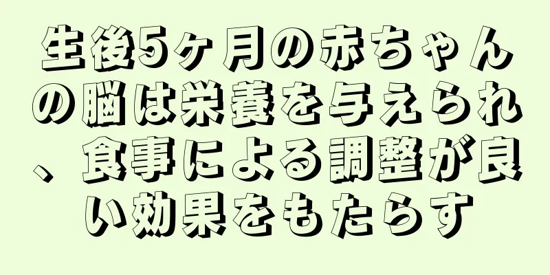 生後5ヶ月の赤ちゃんの脳は栄養を与えられ、食事による調整が良い効果をもたらす