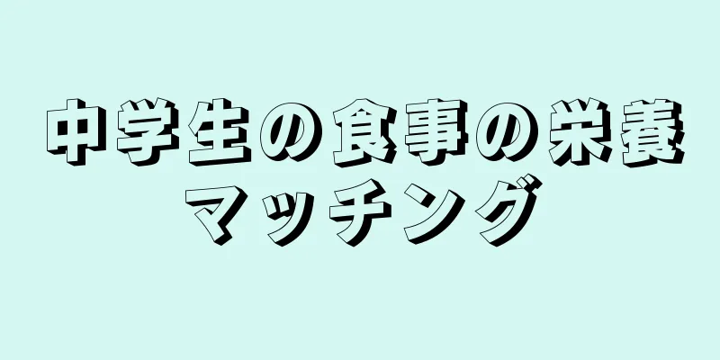 中学生の食事の栄養マッチング