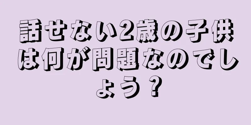 話せない2歳の子供は何が問題なのでしょう？