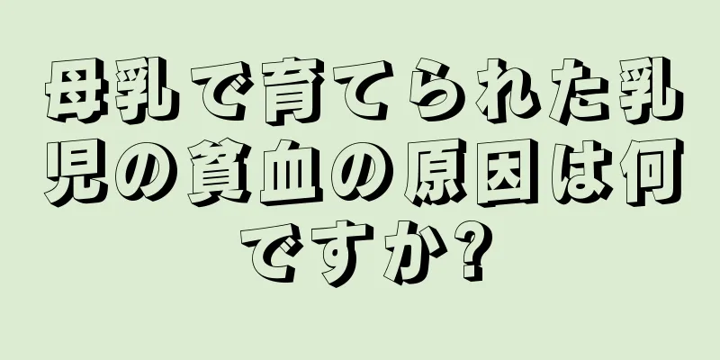 母乳で育てられた乳児の貧血の原因は何ですか?