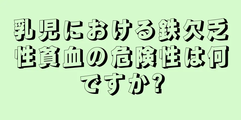 乳児における鉄欠乏性貧血の危険性は何ですか?