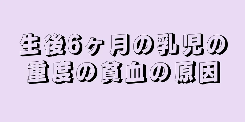 生後6ヶ月の乳児の重度の貧血の原因