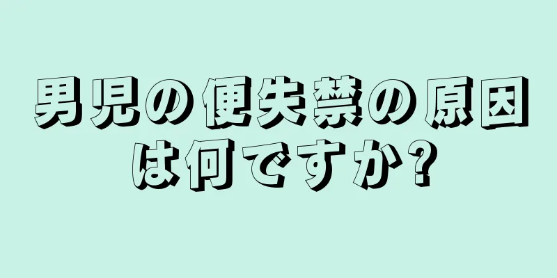 男児の便失禁の原因は何ですか?