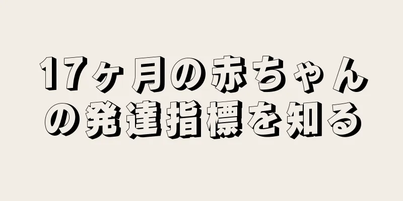 17ヶ月の赤ちゃんの発達指標を知る