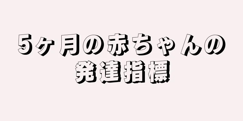 5ヶ月の赤ちゃんの発達指標