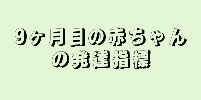 9ヶ月目の赤ちゃんの発達指標