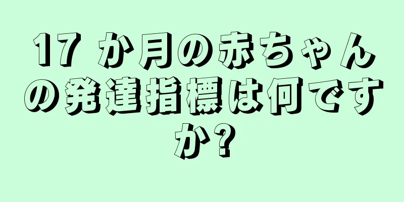 17 か月の赤ちゃんの発達指標は何ですか?