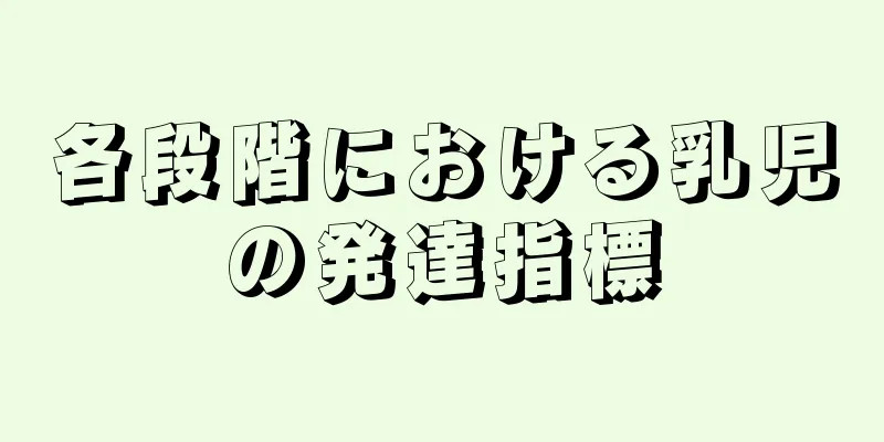 各段階における乳児の発達指標