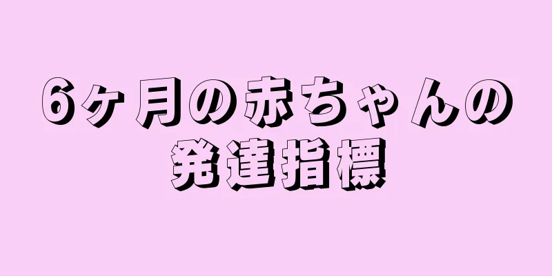 6ヶ月の赤ちゃんの発達指標