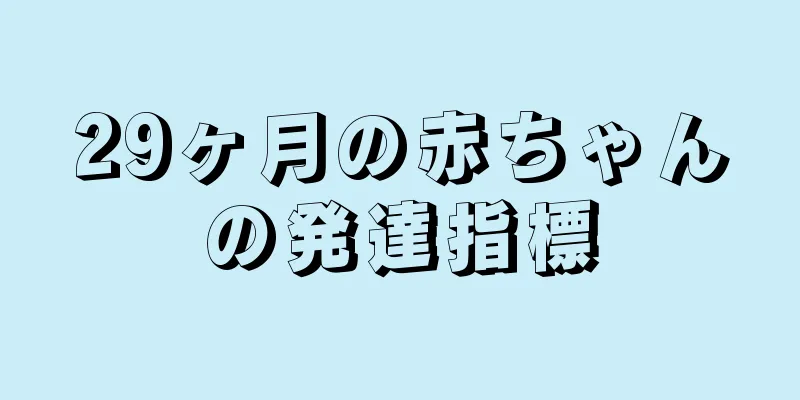 29ヶ月の赤ちゃんの発達指標