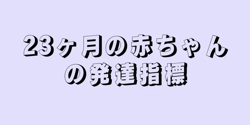 23ヶ月の赤ちゃんの発達指標