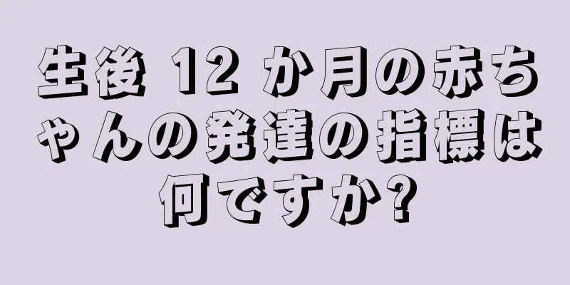 生後 12 か月の赤ちゃんの発達の指標は何ですか?